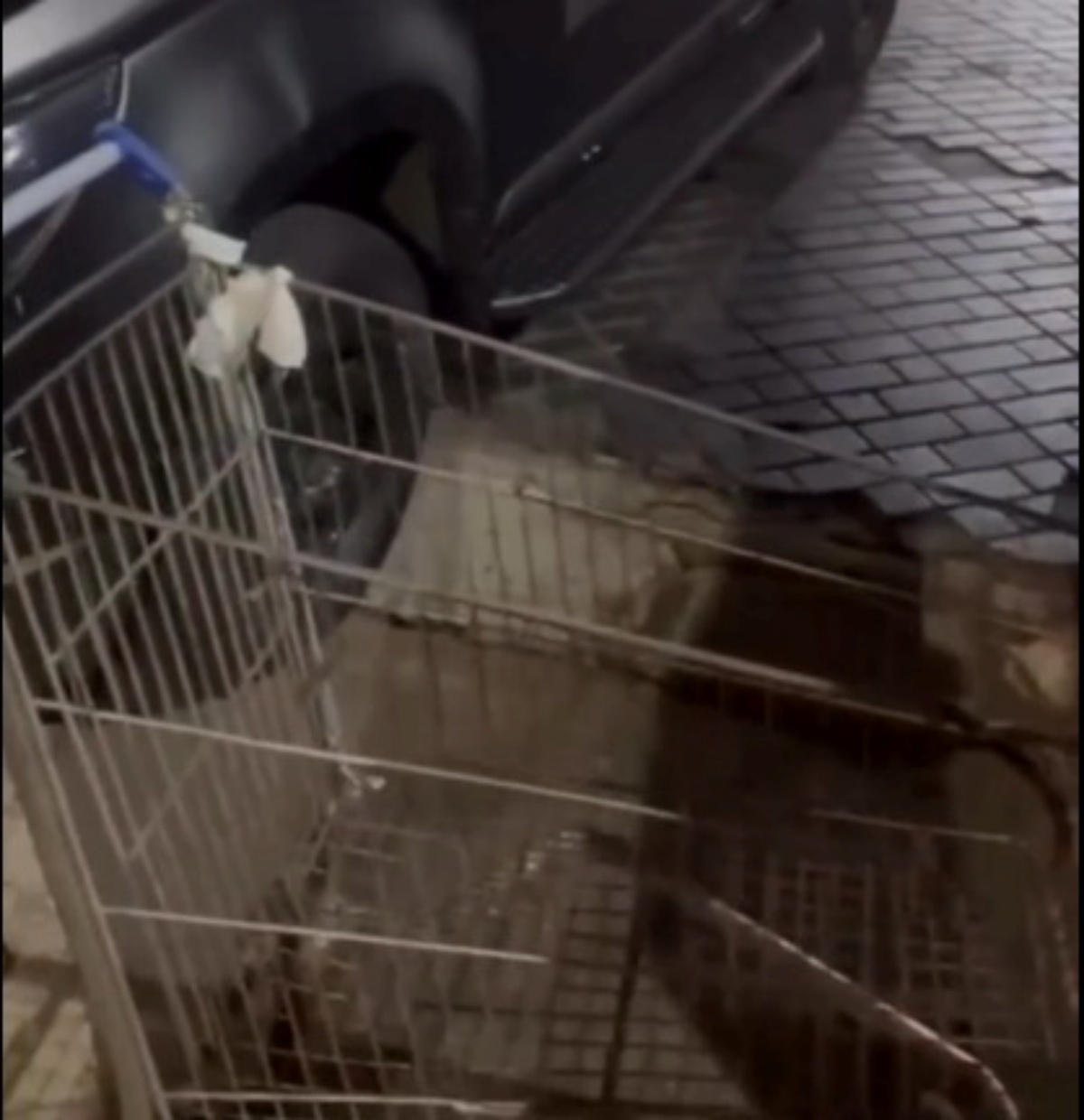 Imagem do carrinho de supermercado 