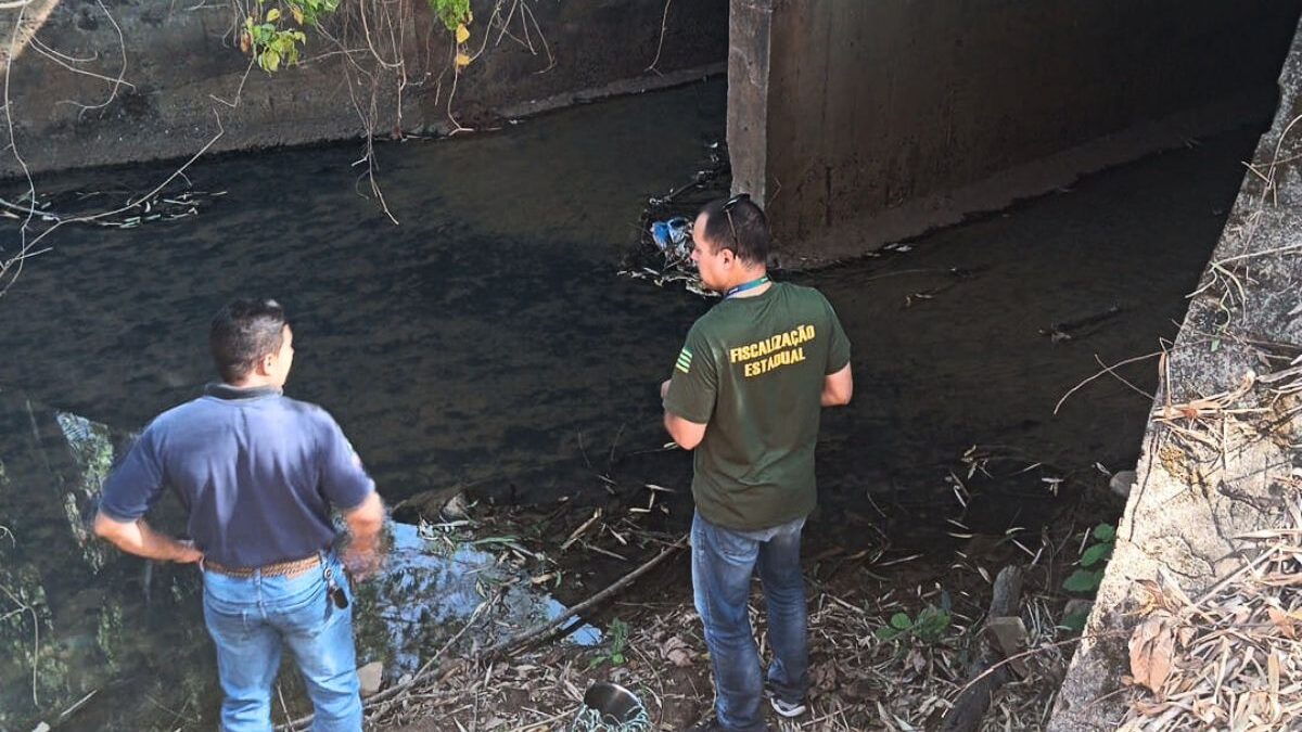 Semad investiga morte de peixes na região do Saltador, em Palminópolis (Foto: Divulgação)