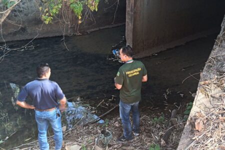 Semad investiga morte de peixes na região do Saltador, em Palminópolis (Foto: Divulgação)