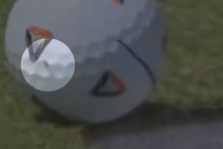 Passos de mosquito fazem bola de golfe cair no buraco em torneio nos EUA (Foto: Reprodução)