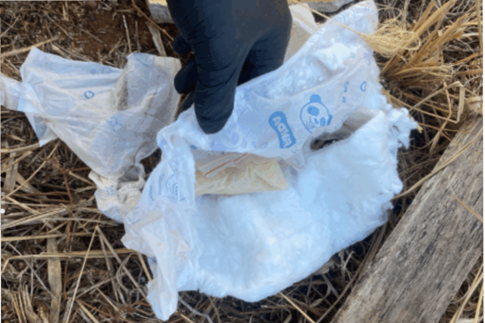 Homem é preso com droga escondida em fralda, em Goianápolis