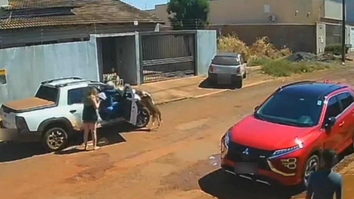 Oficial de Justiça é procurado após atirar em cachorro em Santa Helena