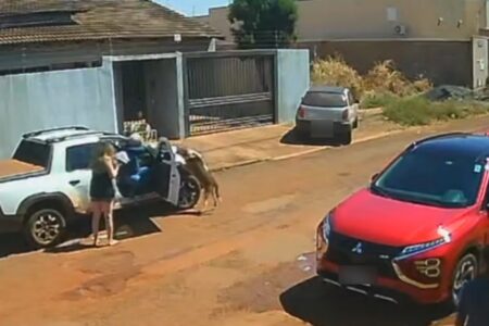 Oficial de Justiça é procurado após atirar em cachorro em Santa Helena