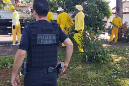 Imagem dos detentos trabalhando