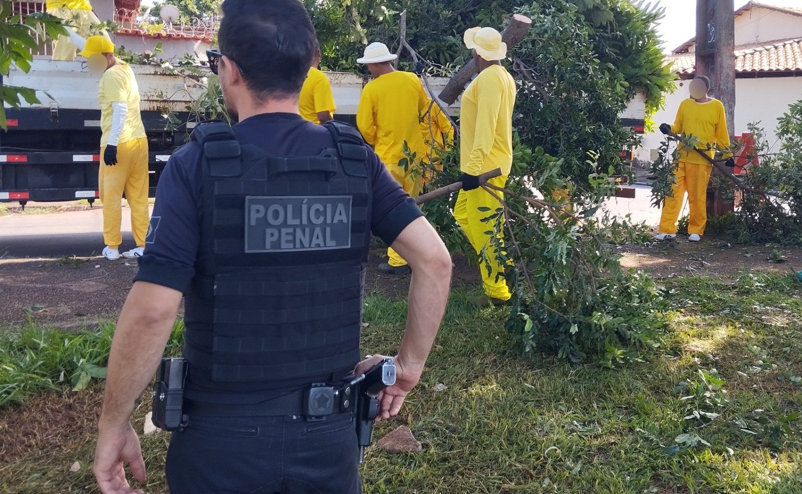 Imagem da notícia