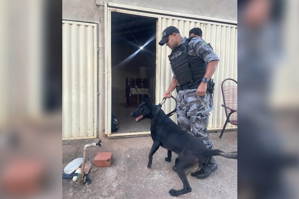 Polícia prende maior fornecedor de drogas de Petrolina de Goiás