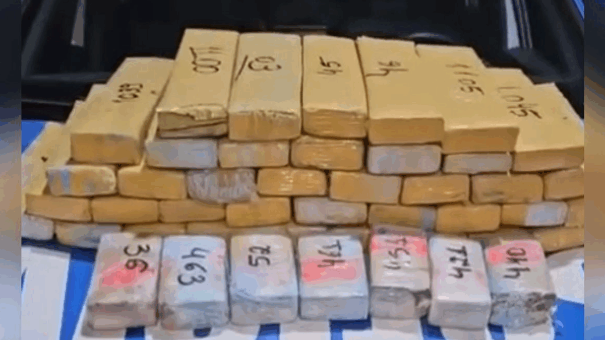 Maconha apreendida pela PM (Foto: Reprodução)