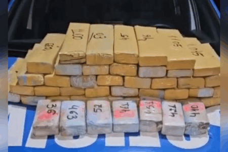 Maconha apreendida pela PM (Foto: Reprodução)