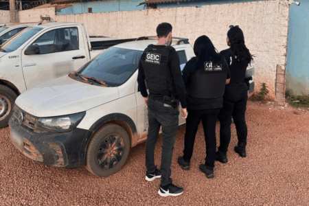 Operação da Polícia Civil recupera veículos de locadora goiana (Foto: Divulgação)