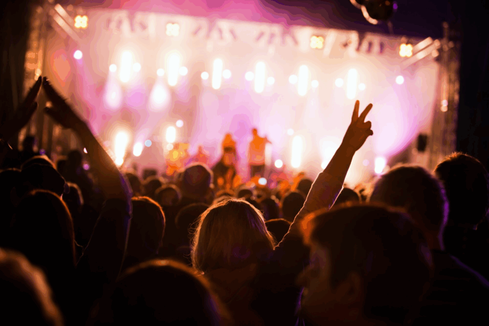 Imagem da plateia em um show. No primeiro plano, as pessoas que assistem ao show,. Ao fundo, as luzes do palco desfocadas