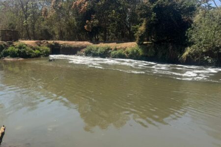 Espuma no rio Meia Ponte vem de estação de tratamento de esgoto (Foto: Divulgação)