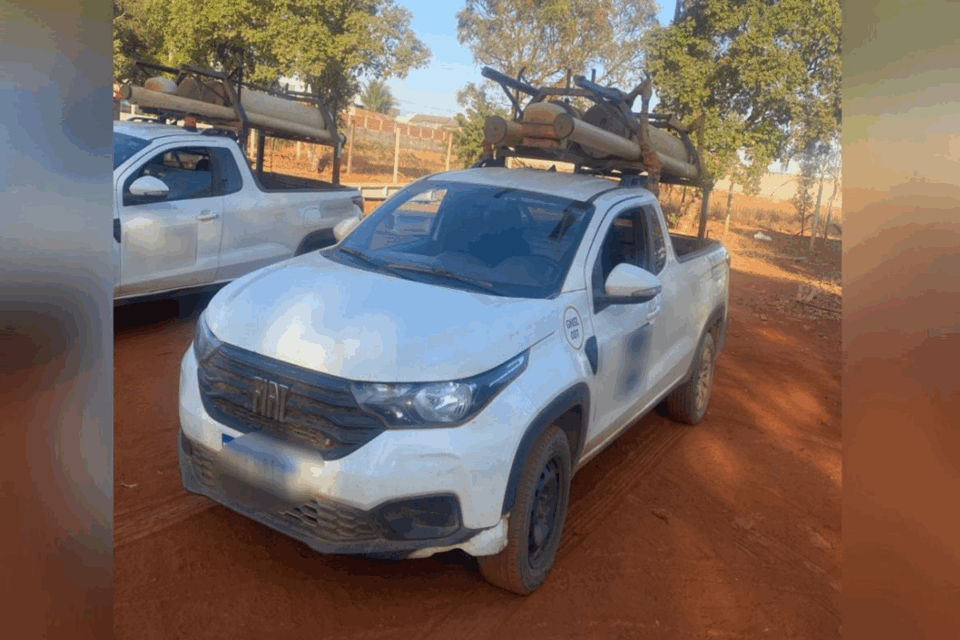 Operação da Polícia Civil recupera veículos de locadora goiana (Foto: Divulgação)