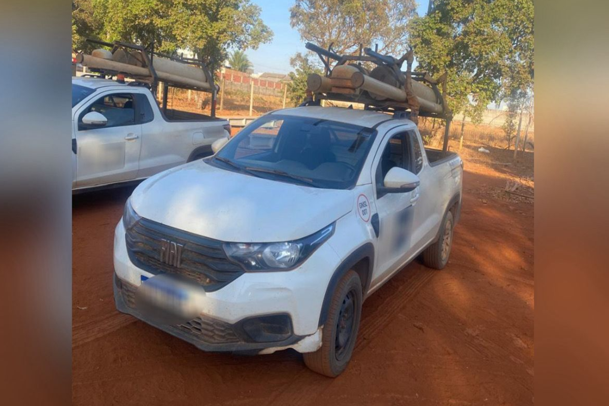 Operação da Polícia Civil recupera veículos de locadora goiana (Foto: Divulgação)