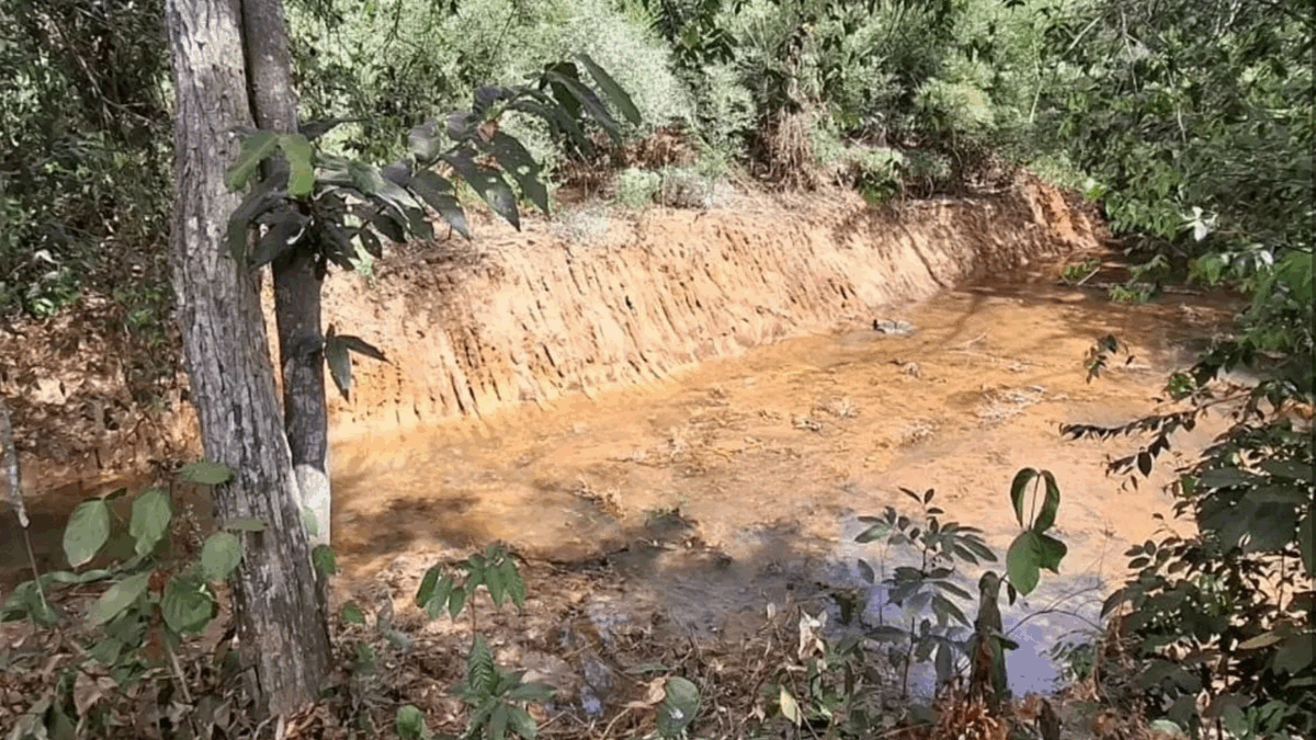 Construção irregular é alvo do Batalhão de Operações Ambientais da Polícia Militar (Foto: Reprodução)