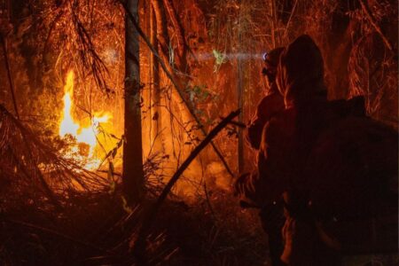 Semad define como se deve comprovar a autoria de incêndios florestais em Goiás (Foto: Agência Brasil)
