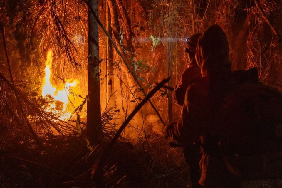 Semad define como se deve comprovar a autoria de incêndios florestais em Goiás (Foto: Agência Brasil)