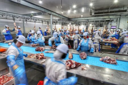 Governo de Goiás lança programa de crédito para impulsionar investimentos no estado