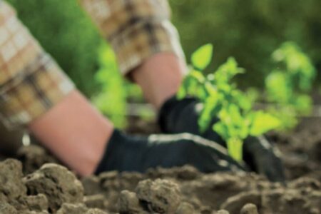 Registro do pagamento símbolico do pix para proprietário rural contemplado na primeira lista do PSA (Foto: Divulgação)