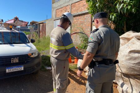 Operação da Equatorial combate furto de cabos de cobre em Goiás (Foto: Equatorial)