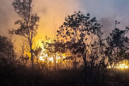 Brigadistas e bombeiros combatem incêndio que ameaça parque de Terra Ronca (Foto: Divulgação)