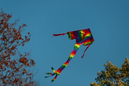 Cão ataca criança que ia recuperar pipa em Itumbiara (Foto: Divulgação - PMGO)