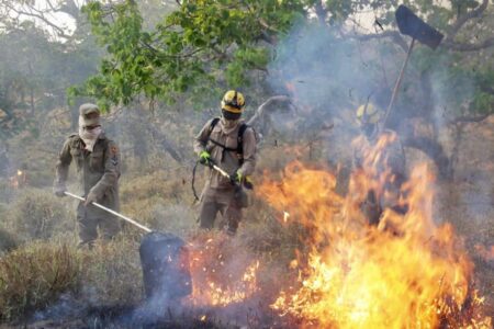 Registros de focos de queimada em queda em Goiás (Foto: Divulgação)