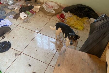 Polícia procura mulher que abandonou cachorros em casa trancada em Caçu (Foto: Polícia Civil)