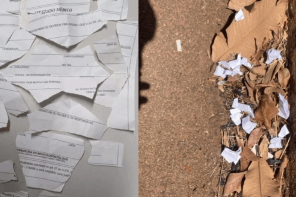 Imagem do documento rasgado