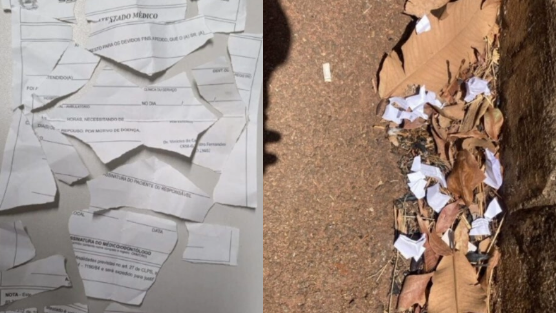 Imagem do documento rasgado