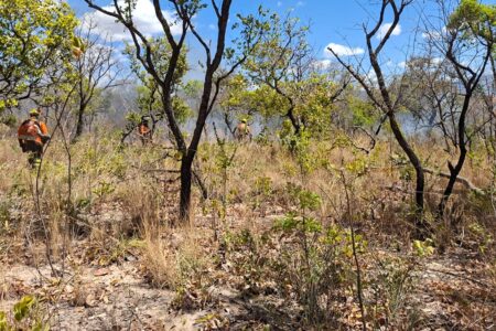 Bombeiros controlam incêndio em área próxima ao Parque Estadual Terra Ronca