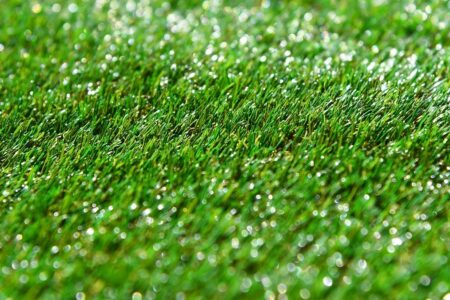 "Grama sintética não funcionou no primeiro momento", diz Mabel