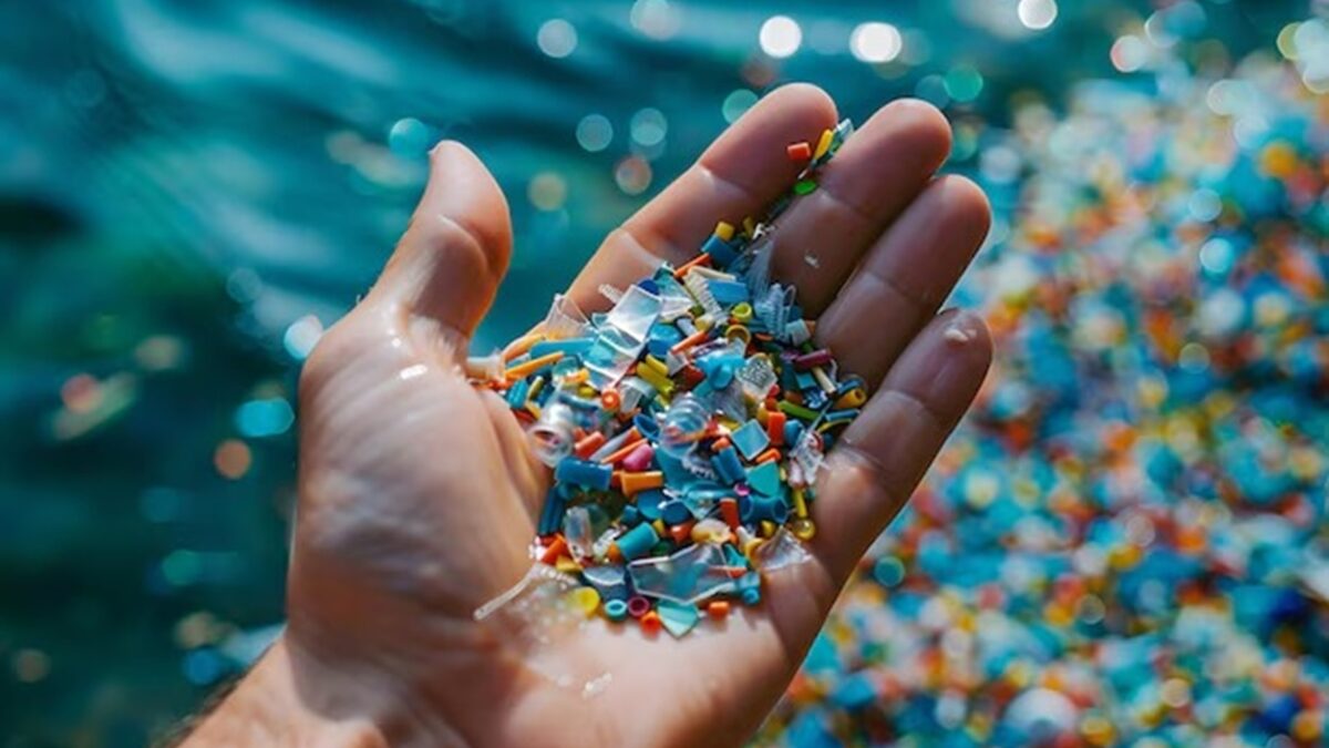 Como os microplásticos no corpo humano podem afetar nossa saúde? Veja como essas partículas de plástico entram no corpo e possíveis soluções