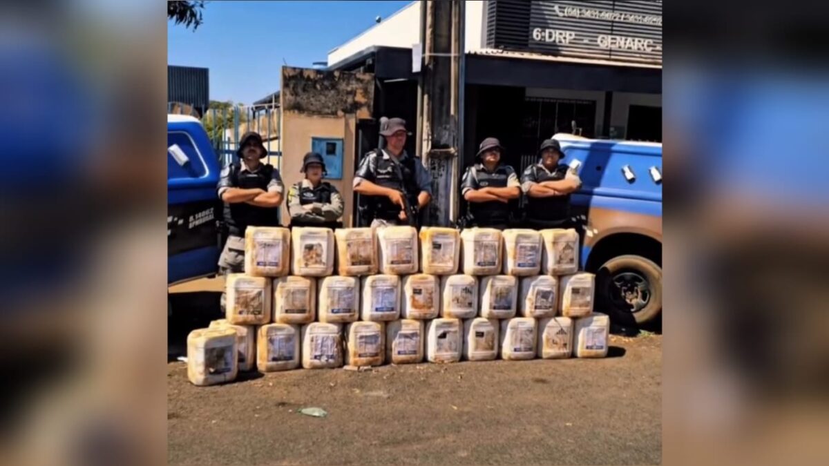 Imagem dos produtos localizados