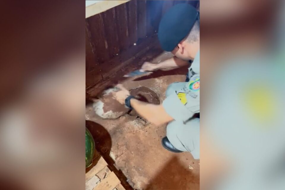 Momento em que a droga é encontrada