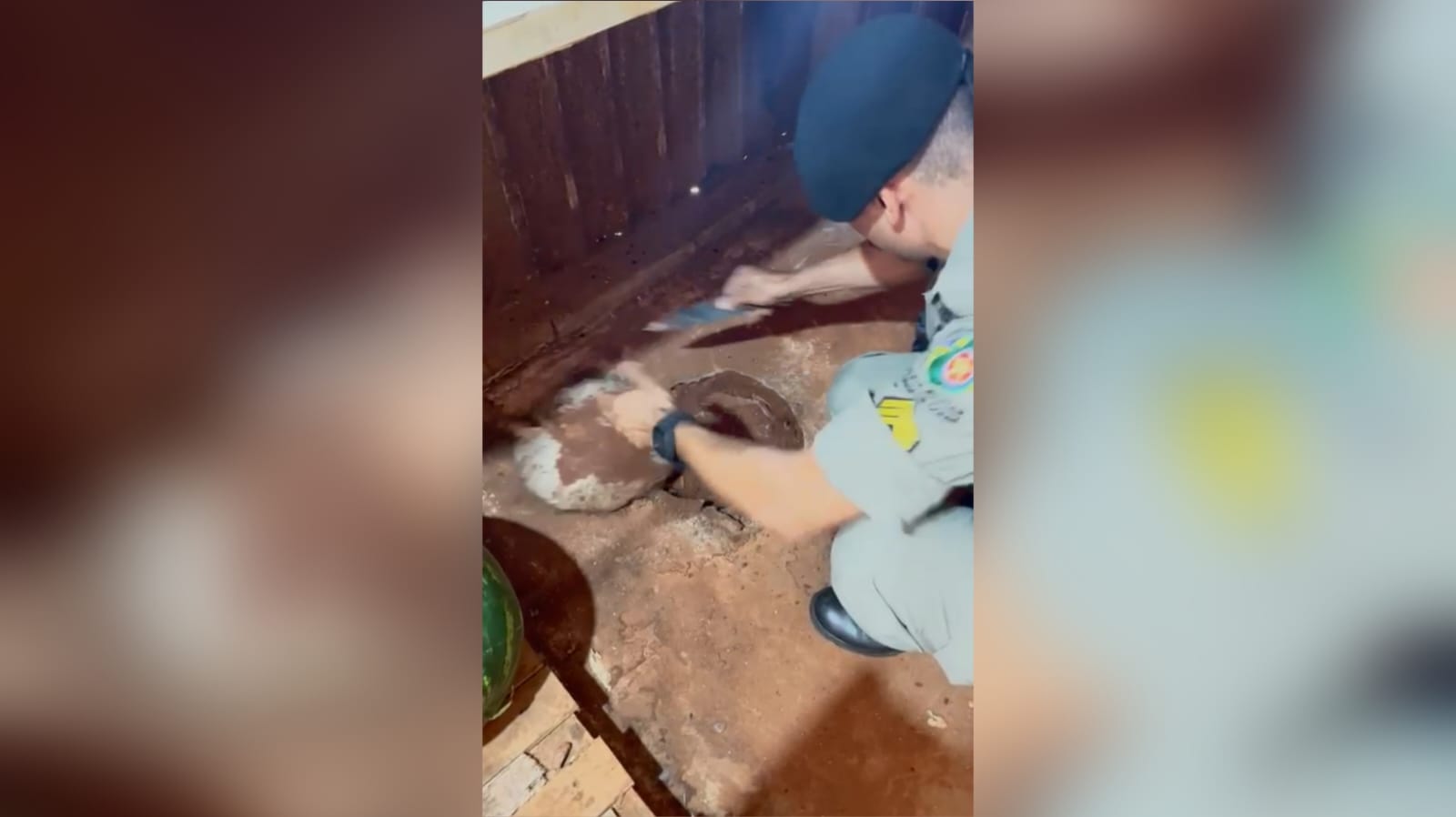 Momento em que a droga é encontrada