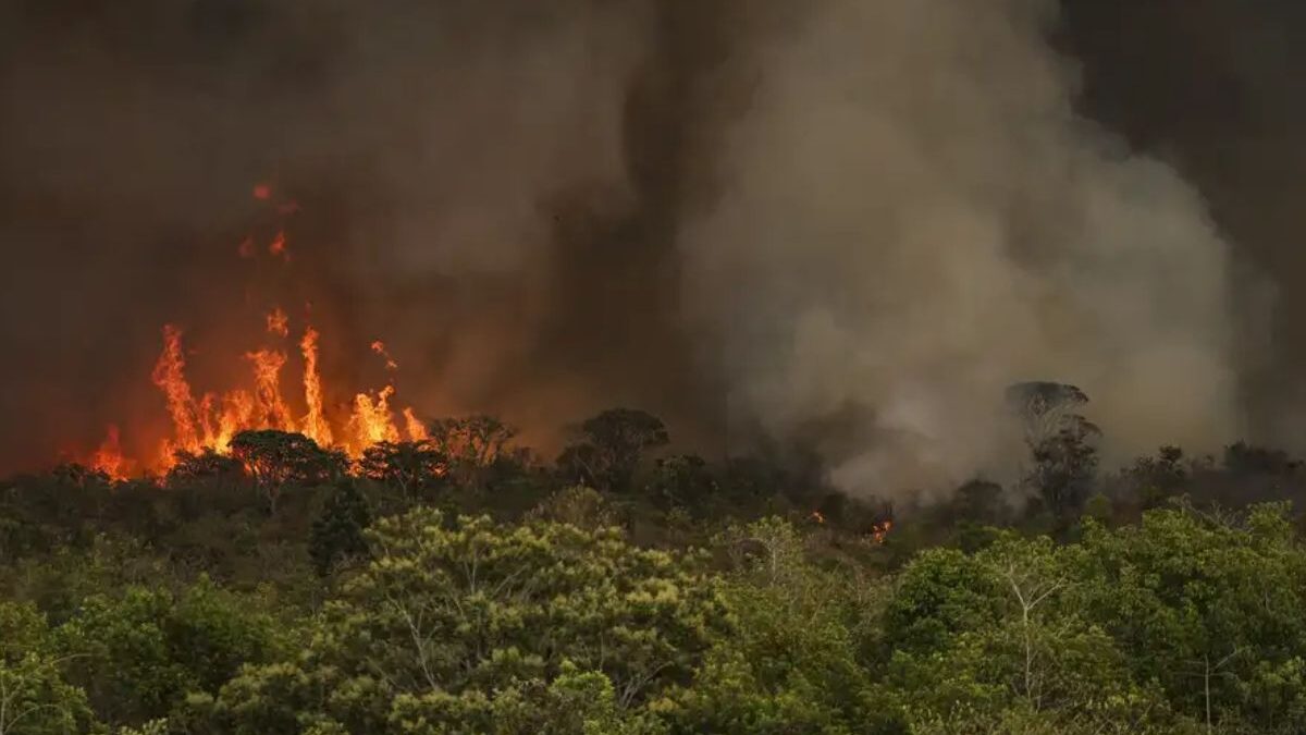 Veja quais são os municípios com mais focos de queimadas em agosto (Foto: Agência Brasil)