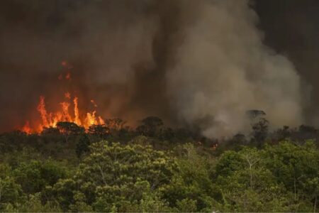 Veja quais são os municípios com mais focos de queimadas em agosto (Foto: Agência Brasil)