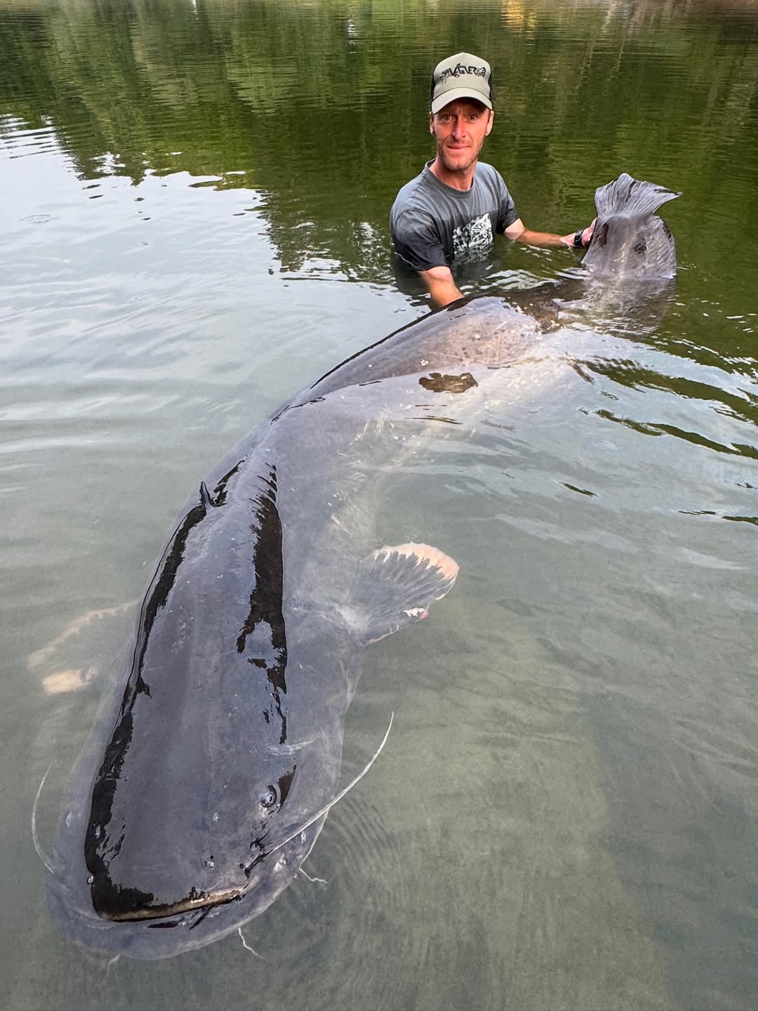 Bagre gigante de mais de 2 metros é pescado após 50 minutos de luta; fotos Pescaria garantiu ao homem um novo recorde