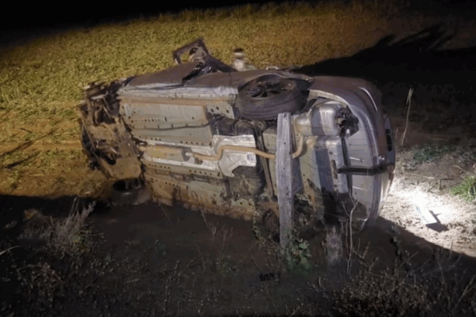 Motorista morre após atropelar capivara e carro capotar na GO-305