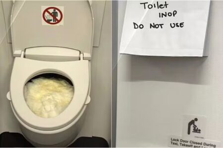 Banheiros quebram em voo e passageiros são obrigados a usar garrafas