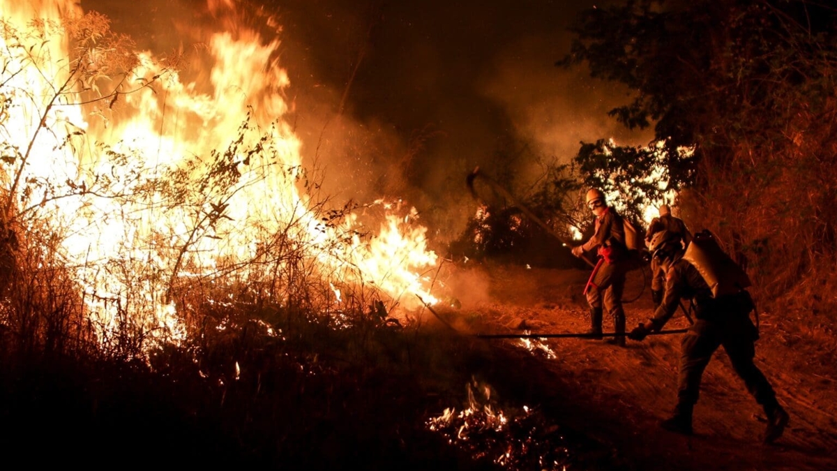 Registros de focos de incêndios florestais em Goiás caem todos os meses de 2025
