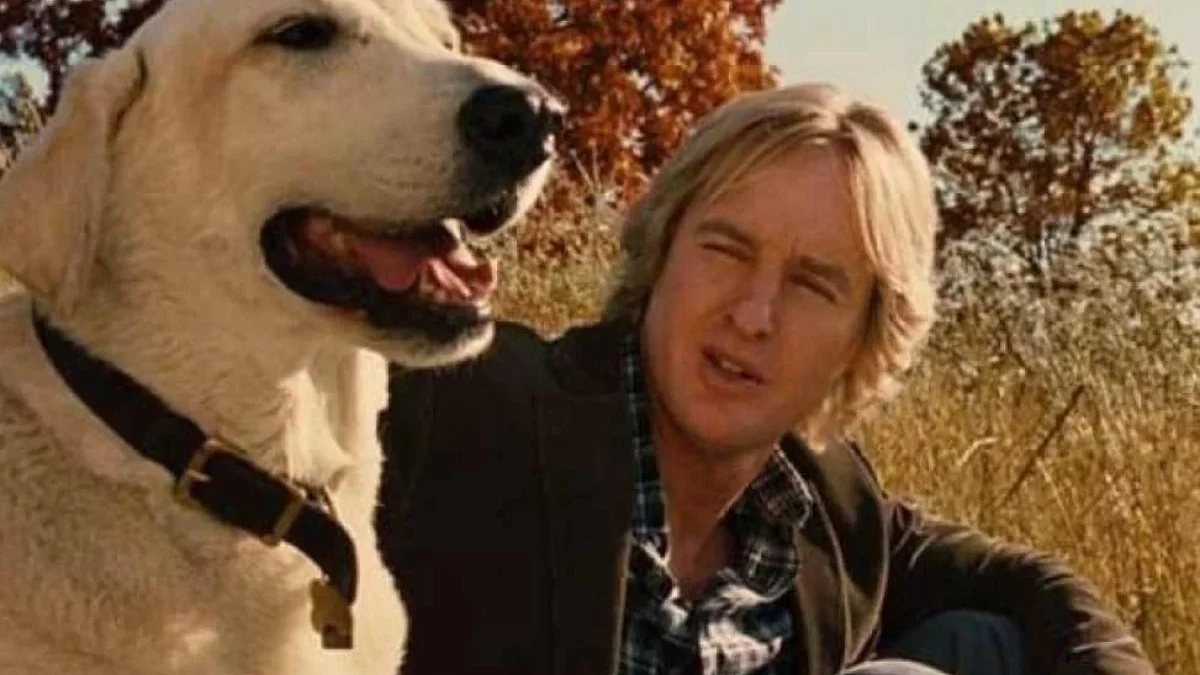 Sessão da Tarde: veja os filmes que serão exibidos entre 11 e 15 de agosto