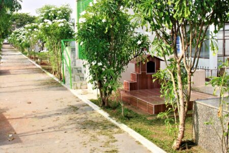 Famílias denunciam violação de túmulos para novos sepultamentos em Trindade