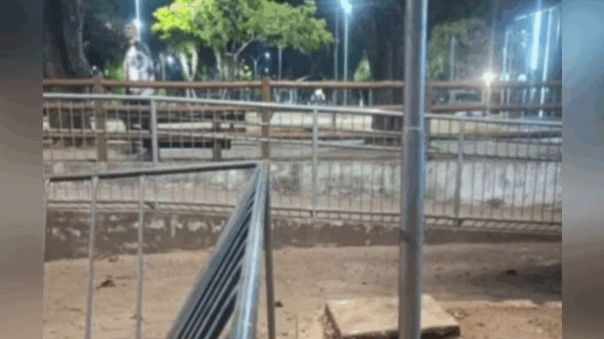 Criança levou choque em poste público de Parque em Anápolis (Foto: Reprodução)