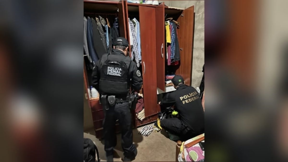 Imagem das buscas realizadas