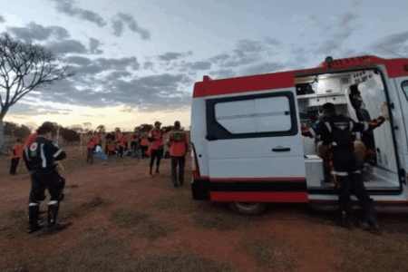 Legendários atacados por abelhas em Caldas Novas; médico relata atendimento O episódio aconteceu na tarde de quinta-feira (15)