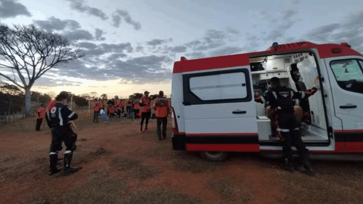 Legendários atacados por abelhas em Caldas Novas; médico relata atendimento O episódio aconteceu na tarde de quinta-feira (15)
