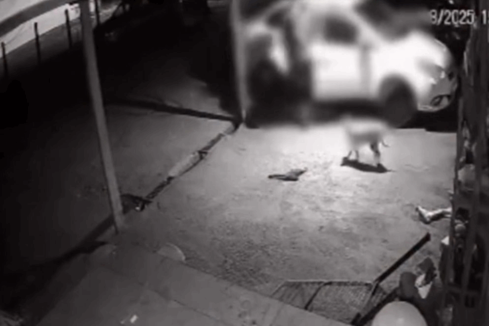 Homem é preso suspeito de furtar veículo e lava-jato que já havia trabalhado em Aparecida