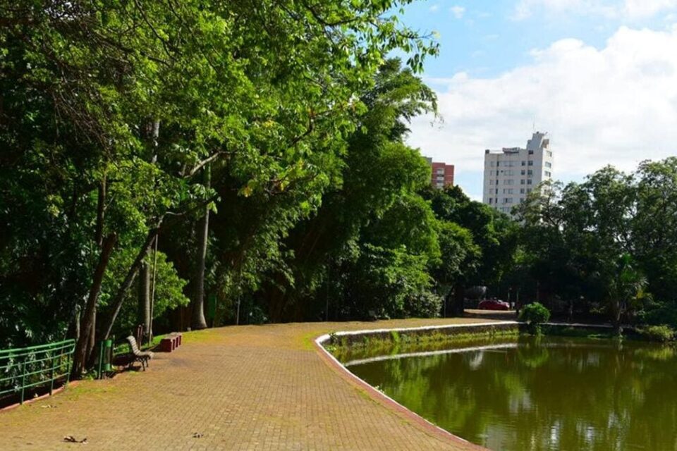 bosque-dos-buritis-jucimar-de-sousa