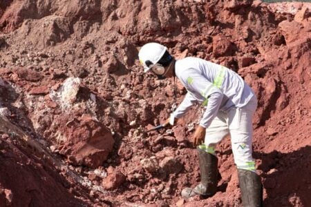 Deputado propõe divisão de royalties da exploração das terras raras em Goiás